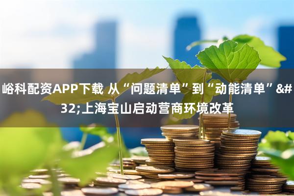 峪科配资APP下载 从“问题清单”到“动能清单” 上海宝山启动营商环境改革