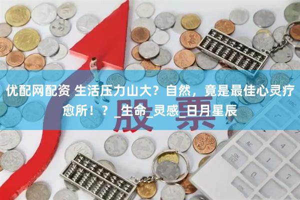 优配网配资 生活压力山大？自然，竟是最佳心灵疗愈所！？_生命_灵感_日月星辰