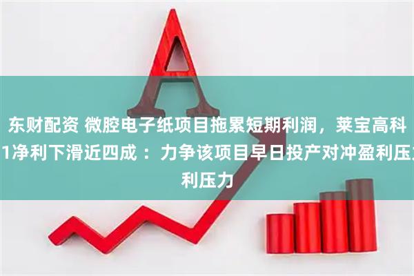 东财配资 微腔电子纸项目拖累短期利润，莱宝高科Q1净利下滑近四成 ：力争该项目早日投产对冲盈利压力