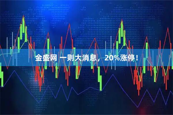 金盛网 一则大消息，20%涨停！